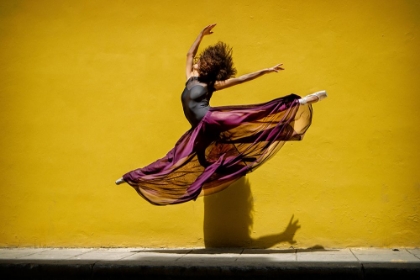 Picture of BALLET DANCER JUMPING