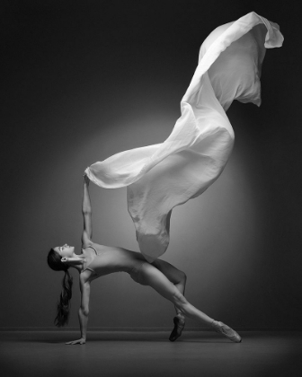 Picture of ART OF MOVEMENT SERIES