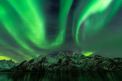 Picture of LOFOTEN AURORA MOUNTAINS