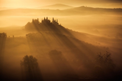 Picture of TUSCANY SUNLIGHT