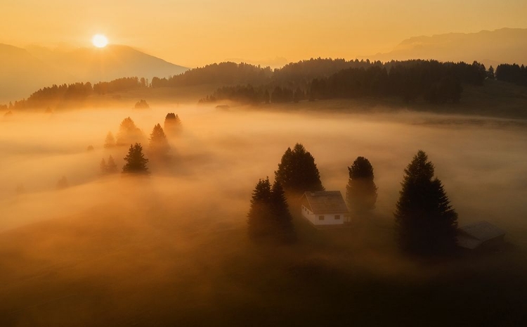 Picture of MORNING MIST