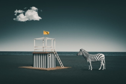 Picture of ZEBRA STYLE