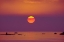 Picture of DAWN