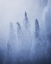 Picture of GHOSTS