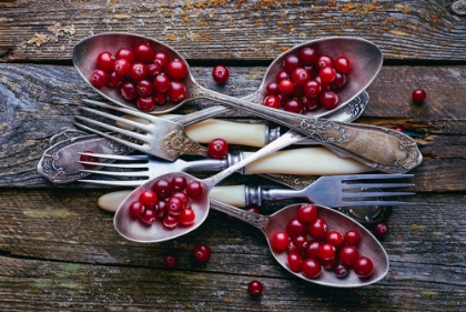 Picture of SPOONSACRANBERRY