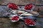Picture of SPOONSACRANBERRY