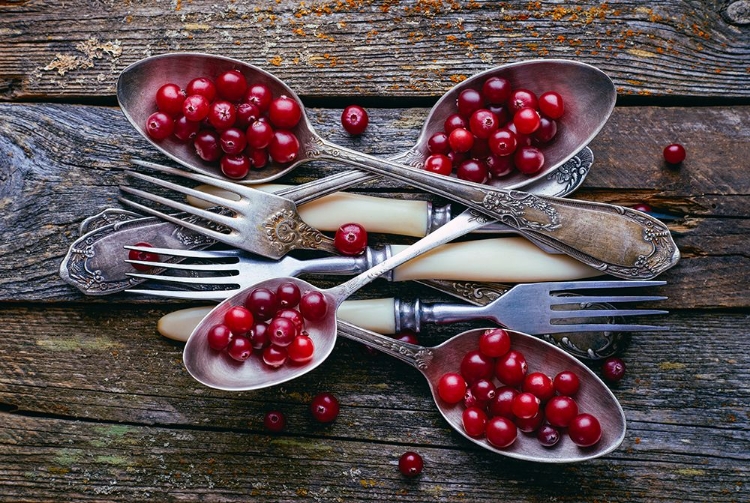 Picture of SPOONSACRANBERRY