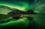 Picture of WILD GREEN HELL