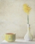 Picture of DAFFODILS