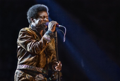 Picture of CHARLES BRADLEY ON STAGE