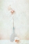 Picture of AN EPHEMERAL MOMENT