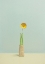 Picture of FLOWER