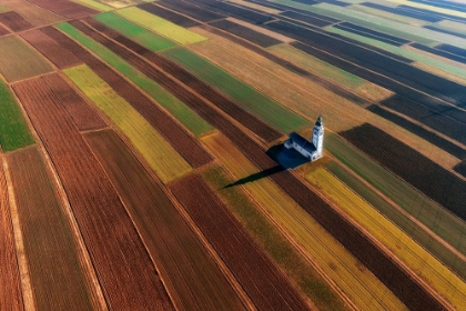 Picture of SORAIKO FIELDS