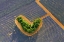 Picture of THE HEART