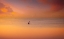 Picture of ALBUFERA KAYAKING AT SUNSET 7D17