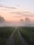 Picture of FOGGY ROAD