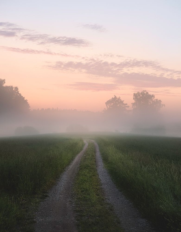 Picture of FOGGY ROAD