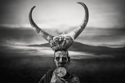 Picture of HORNS MURSI