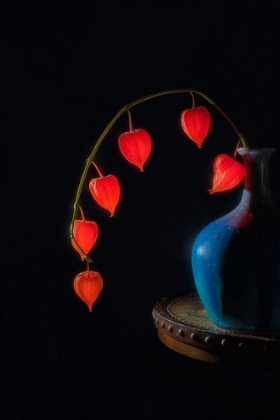 Picture of CHINESE LANTERN
