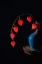 Picture of CHINESE LANTERN