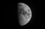 Picture of LUNA
