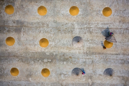 Picture of RICE DRYING