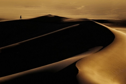 Picture of DESERT ONE