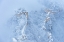 Picture of THE GREAT WALL IN ICE AND SNOW