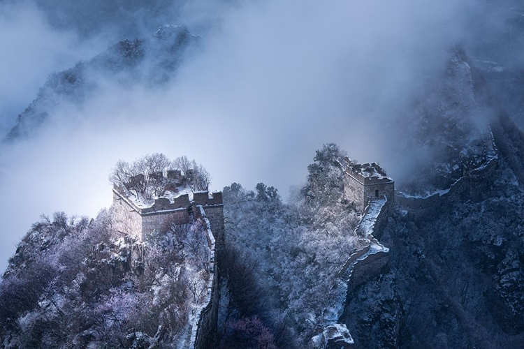 Picture of PEACH BLOSSOM SNOW OF THE GREAT WALL