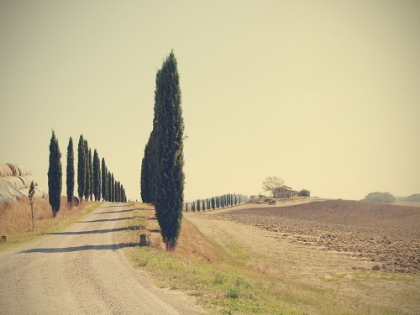 Picture of TUSCAN COUNTRYSIDE