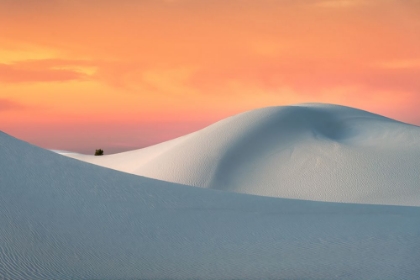 Picture of WHITE SANDS