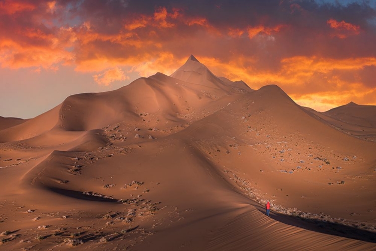 Picture of EXPLORING THE DESERT