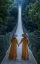 Picture of THE BRIDGE