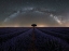 Picture of SOLITARIO - SOLITAIRE