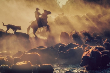 Picture of THE BUFFALO SHEPHERD