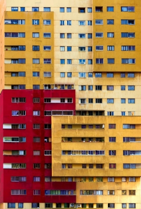Picture of A BUILDING FULL OF LIFE