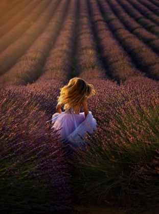 Picture of A GIRL RUNNING TOWARDS THE FLOWER FIELD