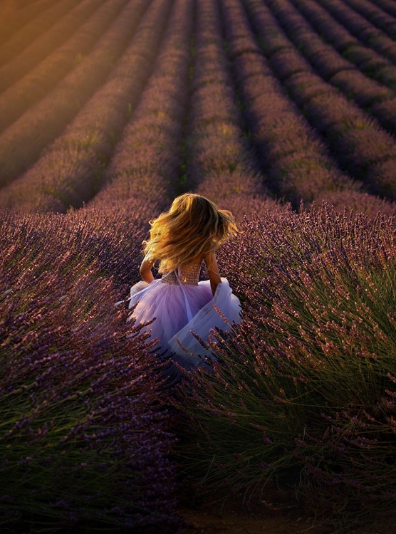 Picture of A GIRL RUNNING TOWARDS THE FLOWER FIELD