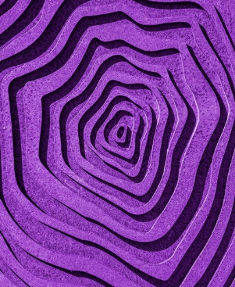 Picture of PURPLE MAZE