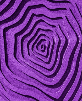 Picture of PURPLE MAZE