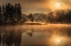 Picture of SUNNY MORNING