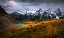 Picture of LARCH VALLEY