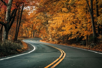 Picture of ROAD TO FALL