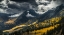 Picture of UNTITLED