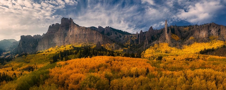 Picture of GOLDEN CARPET UNDER CASTLE ROCKS