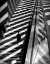 Picture of WALKING LIGHT AND SHADOWS