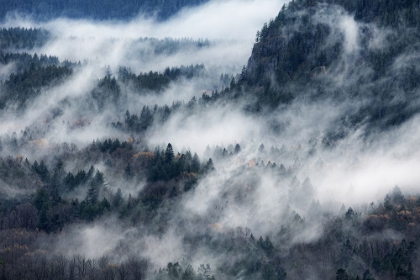 Picture of A VALLEY IN THE FOG