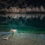 Picture of MERGULHO