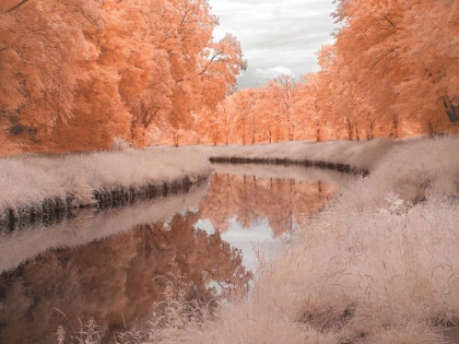 Picture of SAARKANAL
