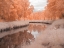 Picture of SAARKANAL